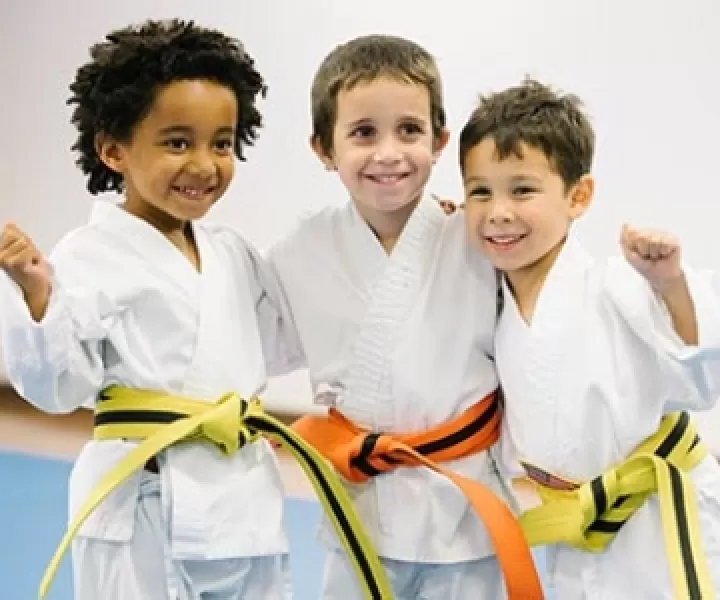 Three little karate boys