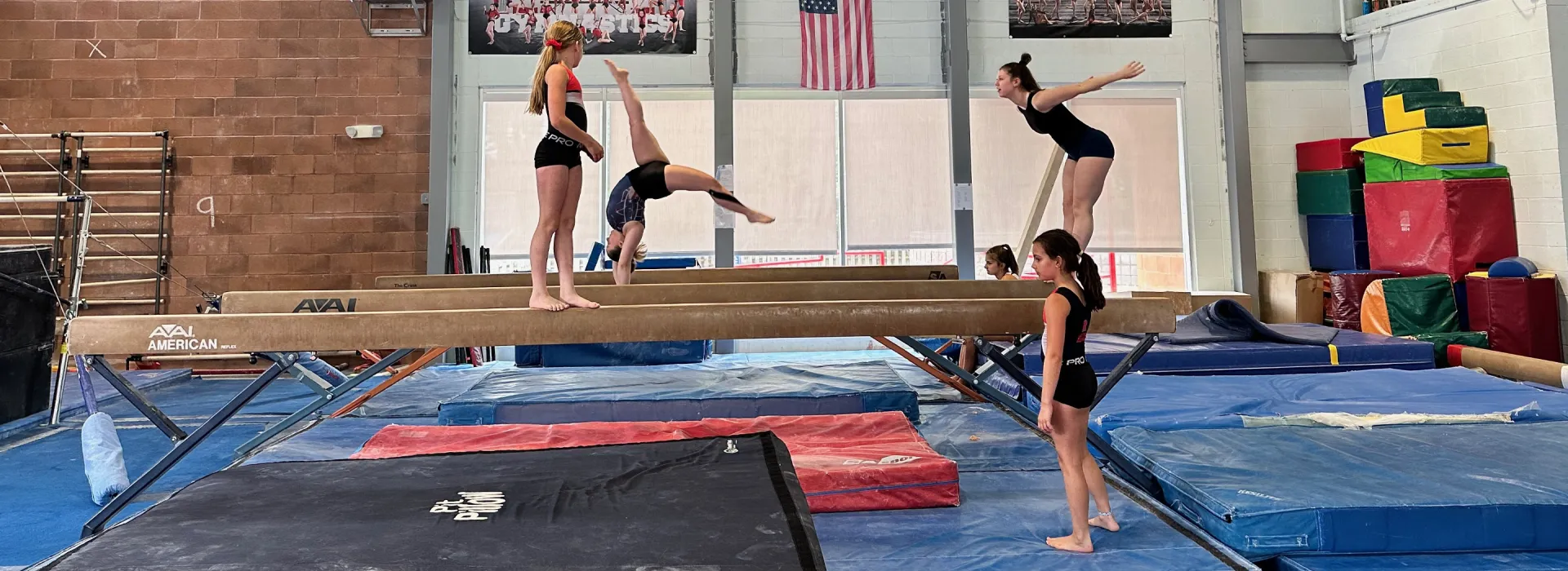 Gymnastics students in the gym